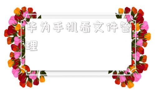 华为手机看文件管理华为手机里的文件管理