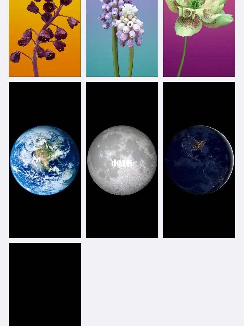 木制手机壁纸苹果版ios14内置高清手机壁纸