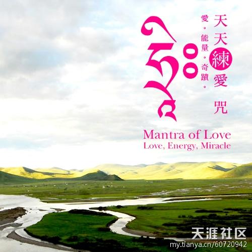 天天练手机版2022:张本渝《天天《练》爱 咒》(MP3@320K@25mb)