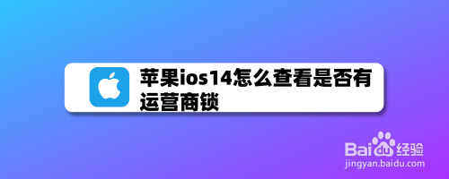苹果手机搜索运营商苹果手机运营商不见了