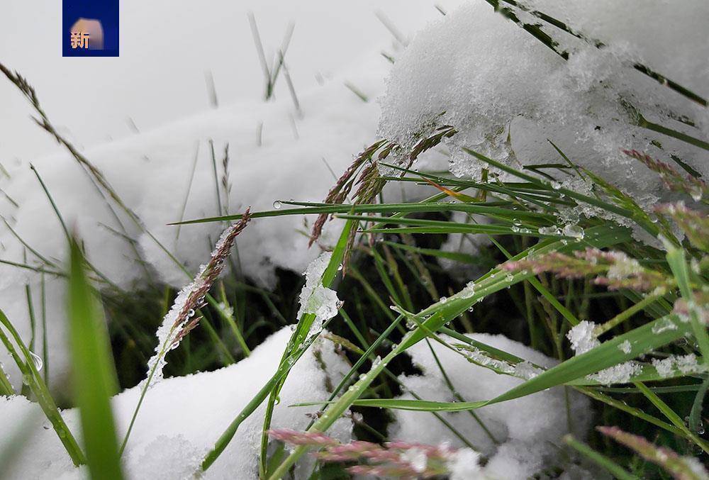 wif版苹果:三月飞雪！河南多地发布暴雪红色预警，降雪成因公布