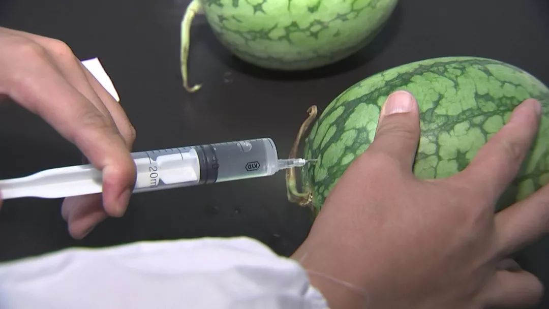 苹果注射甜蜜素新闻西瓜注射甜蜜素是真的吗