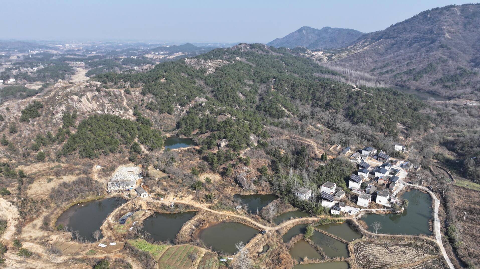 罗山客户端罗山在线官网