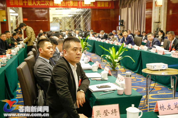 苍南新闻客户端今日头条新闻客户端