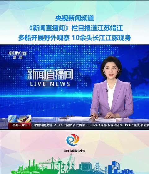 手机怎么下载央视新闻直播cctv13频道新闻直播