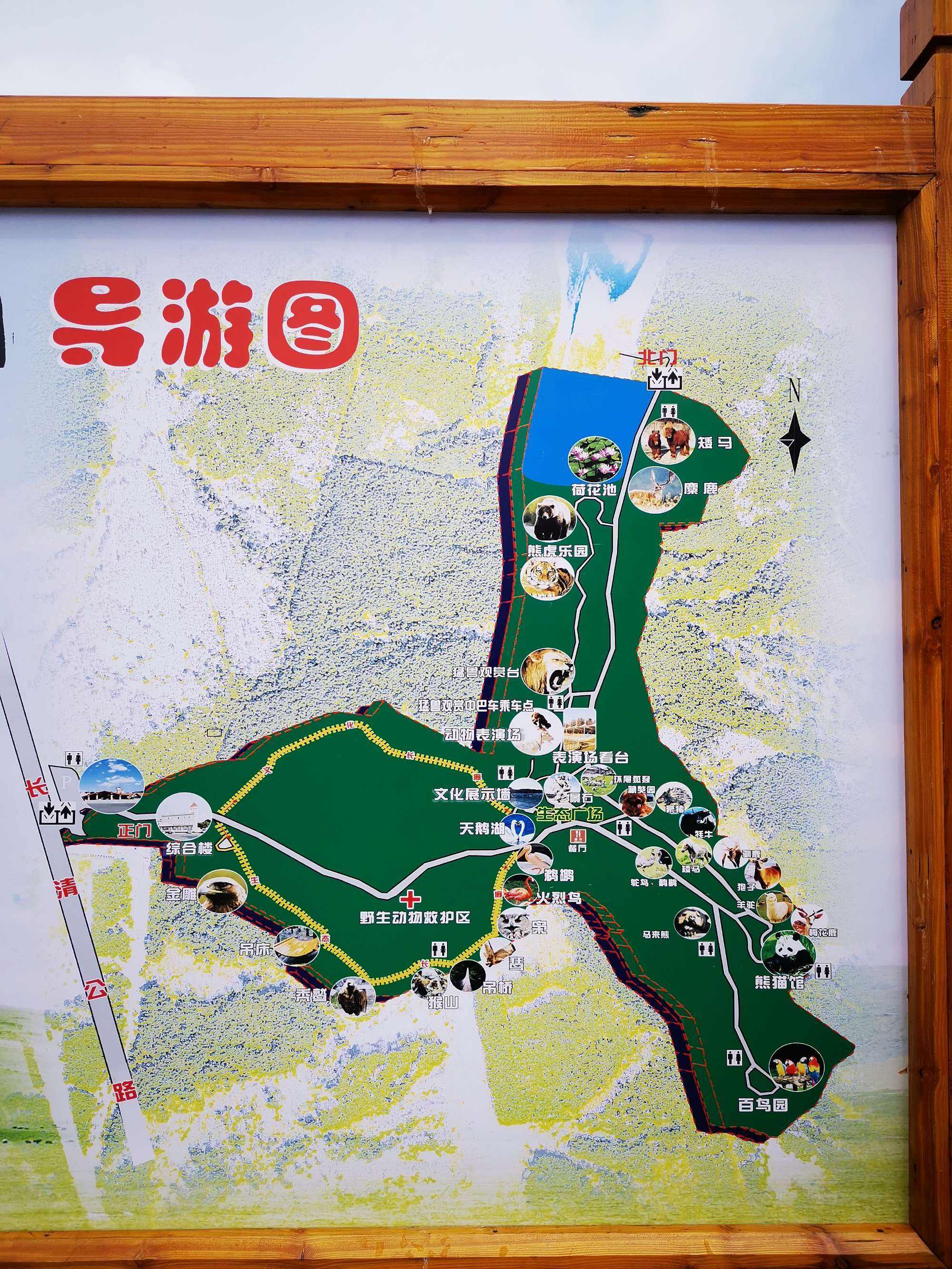 老虎地图手机版百度地图手机版官网