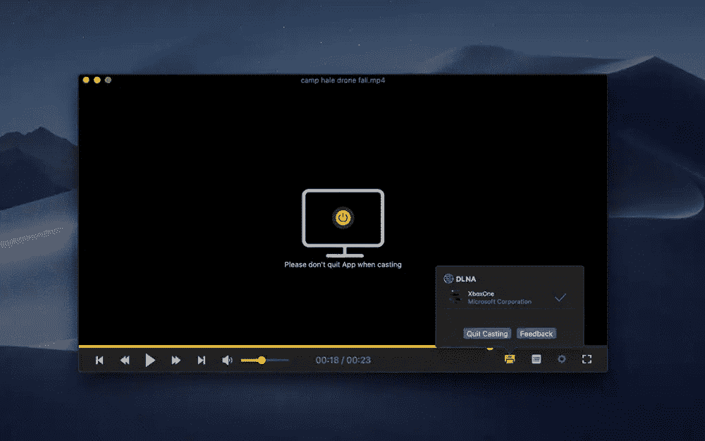 关于PotPlayer安卓版1.0的信息