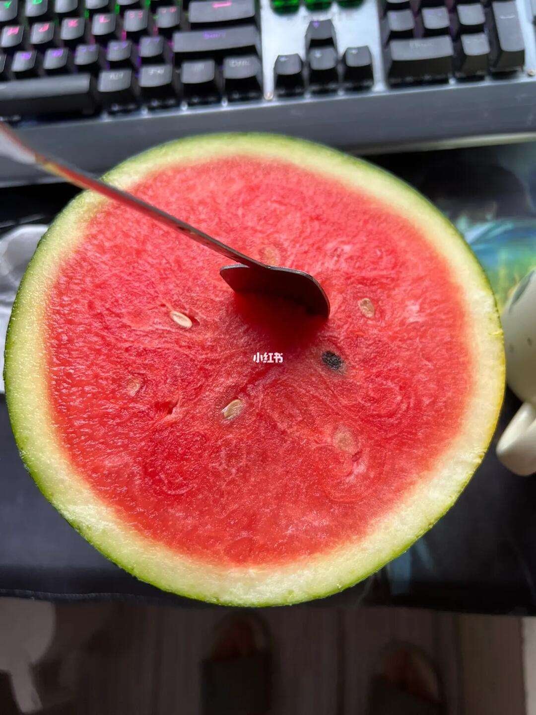 瓜多多苹果版橙瓜码字苹果电脑版
