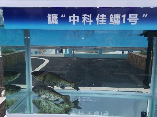 水产网客户端中国水产养殖网