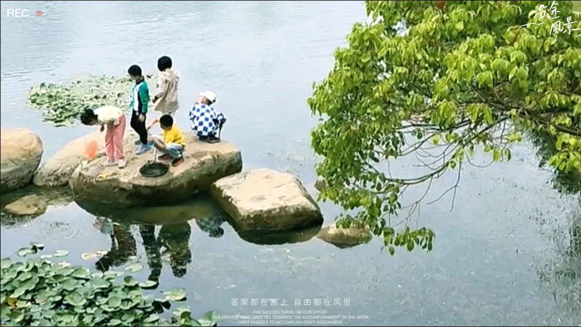 凉凉小苹果版网红东北雨姐彻底凉凉-第2张图片-太平洋在线下载