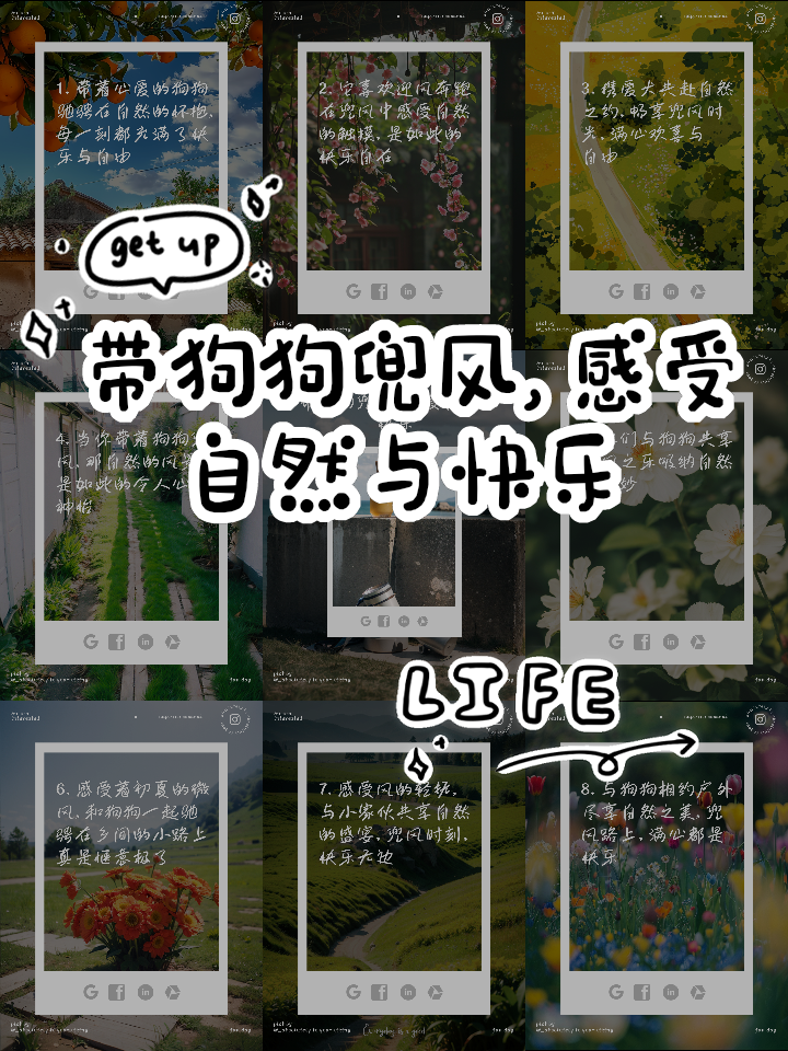快乐狗狗app苹果版特狗app苹果官方下载